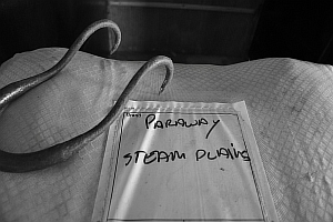 Steam Plains_6671 b&w © Claire Parks Photography